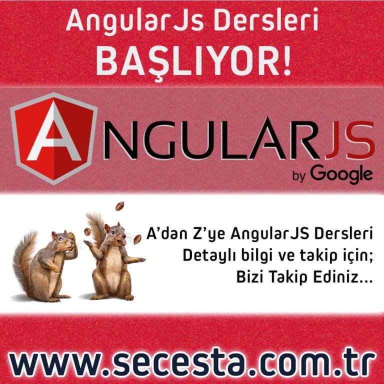 Lider Markaların Dijital Pazarlama ve SEO Ajansı 63 AngularJs Dersleri