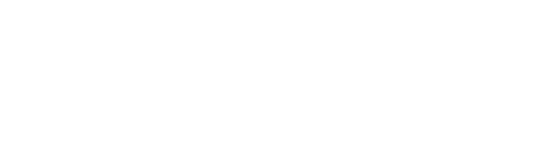 logo2